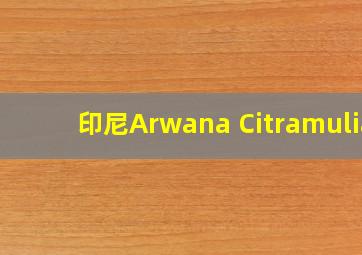 印尼Arwana Citramulia